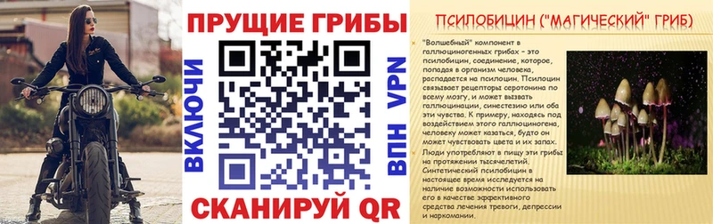 Псилоцибиновые грибы мухоморы  Купить  Иваново 